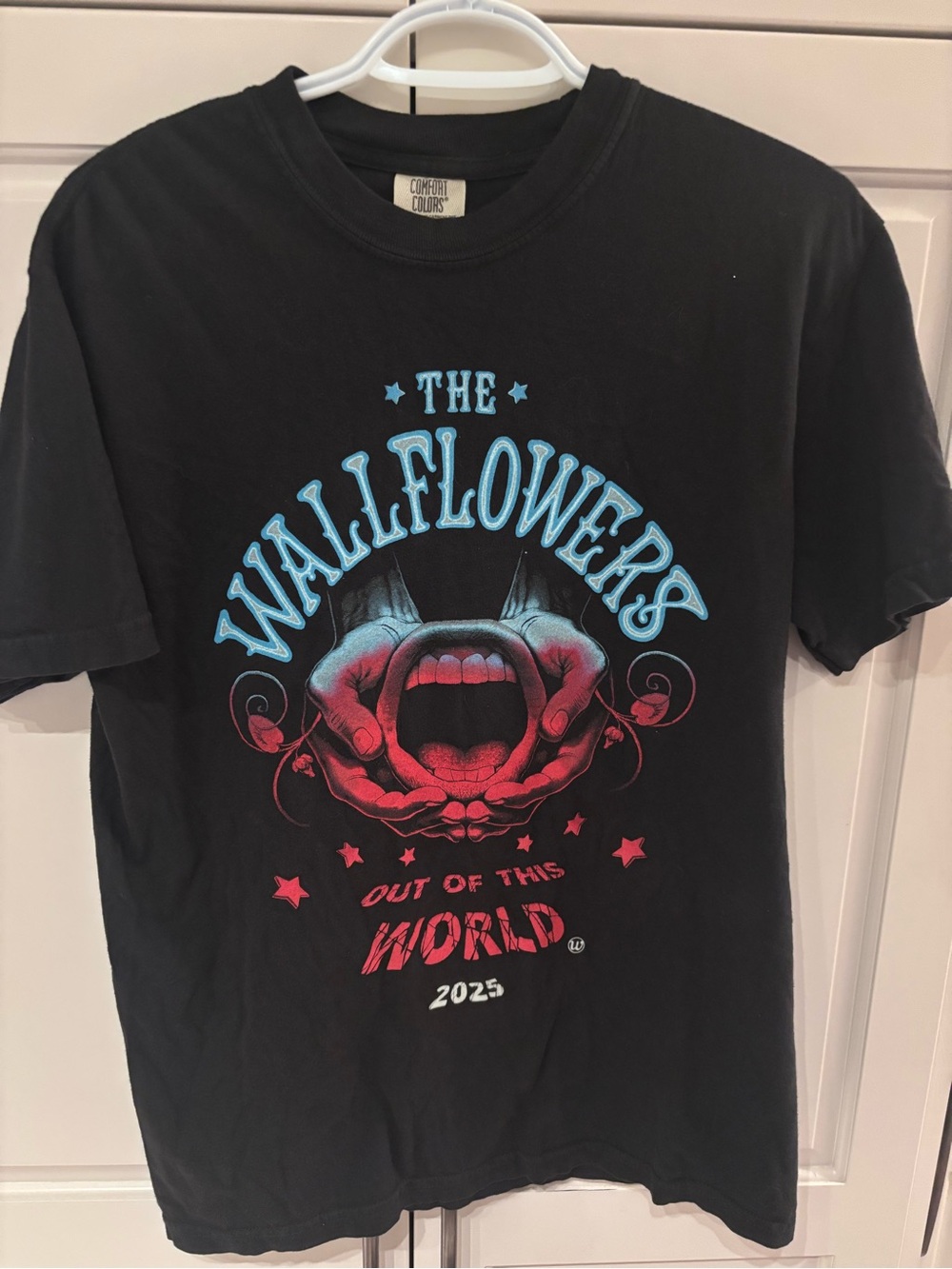 The Wallflowers Out of This World 2025 Tour T-Shirt Black Comfort Colors Medium